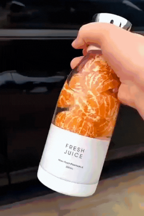 Portable Mini Blender for Fresh Juice