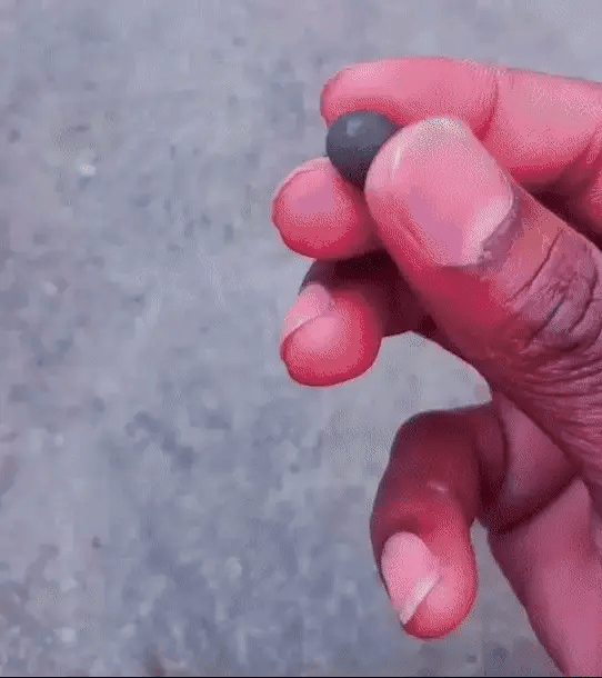 India's No1 Premium Lotus Seeds | Now at 50% OFF